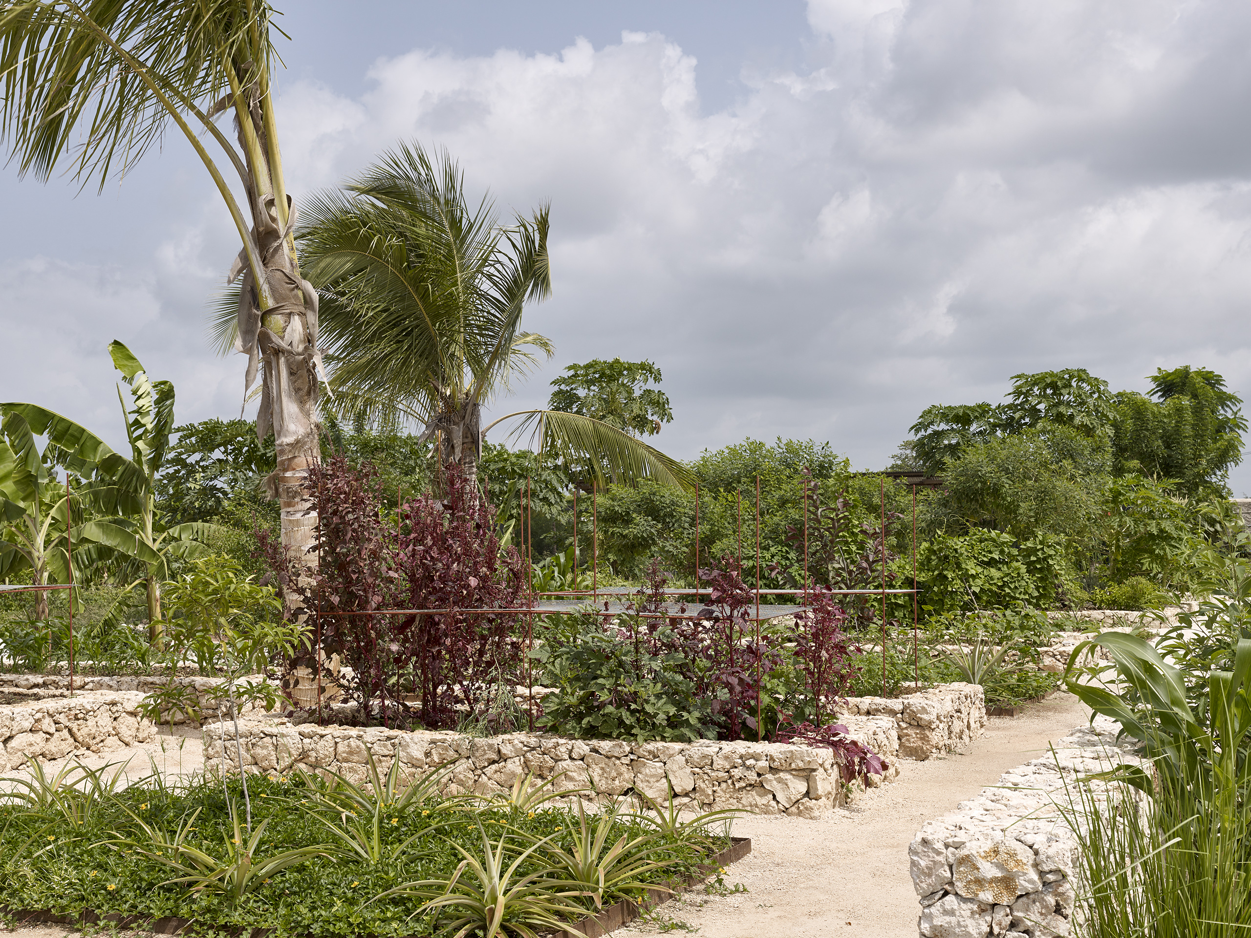 Kizikula, Kizimkazi, Zanzibar